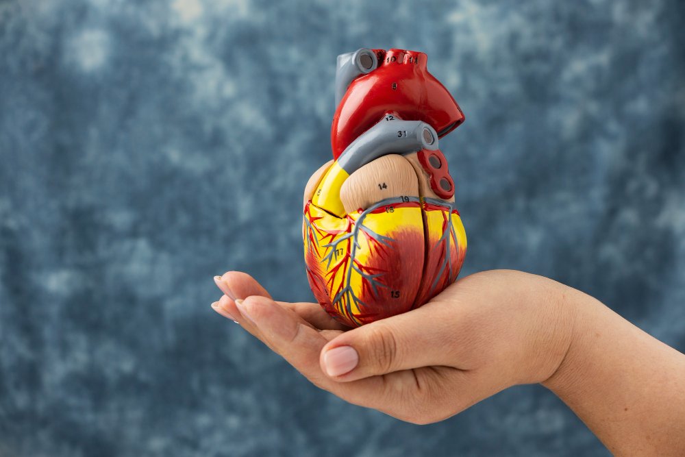Cardiac Tablets and Capsules Online in Madurai